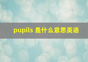 pupils 是什么意思英语